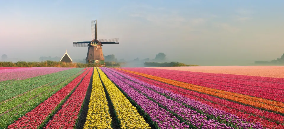 Health Holland