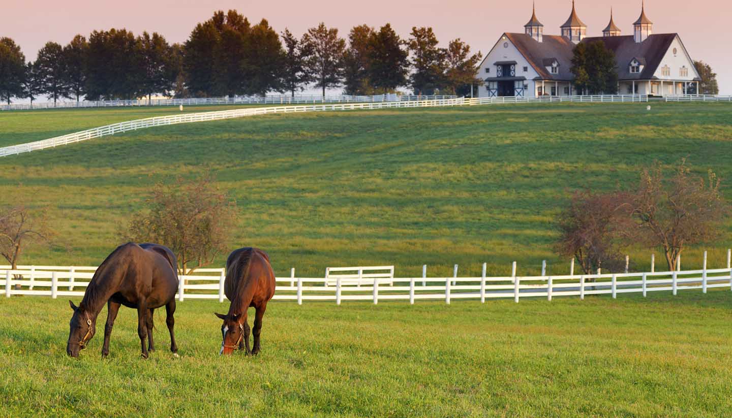Kentucky