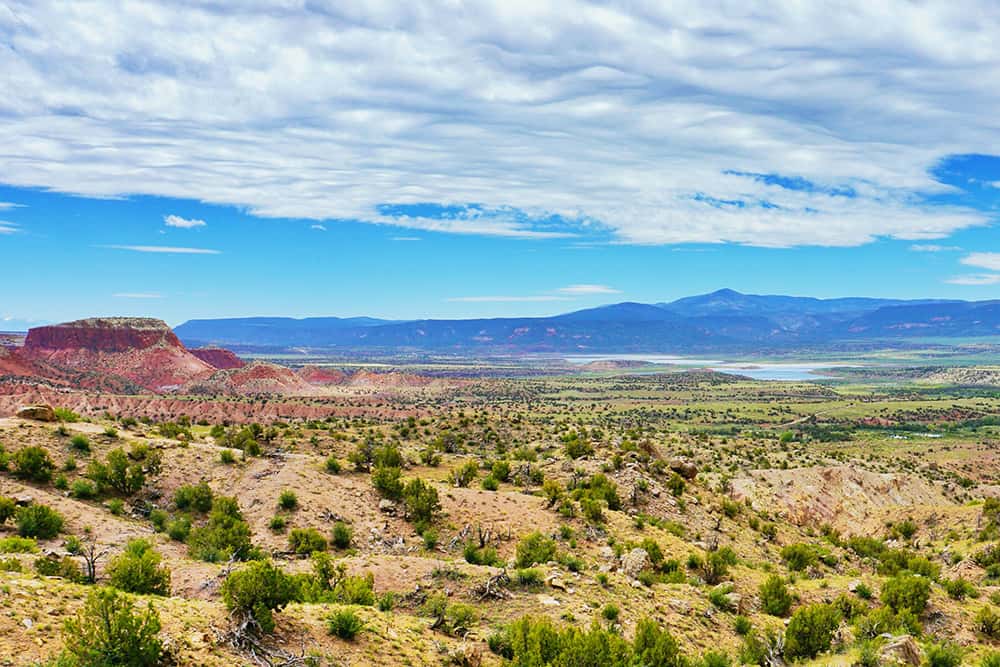 New Mexico